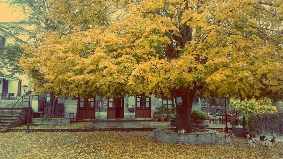 Villa Armonia Neochori  Luaran gambar